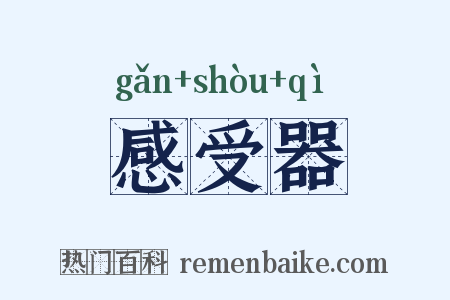感受器是什么意思的图片